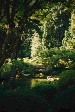 Kyoto Gardens