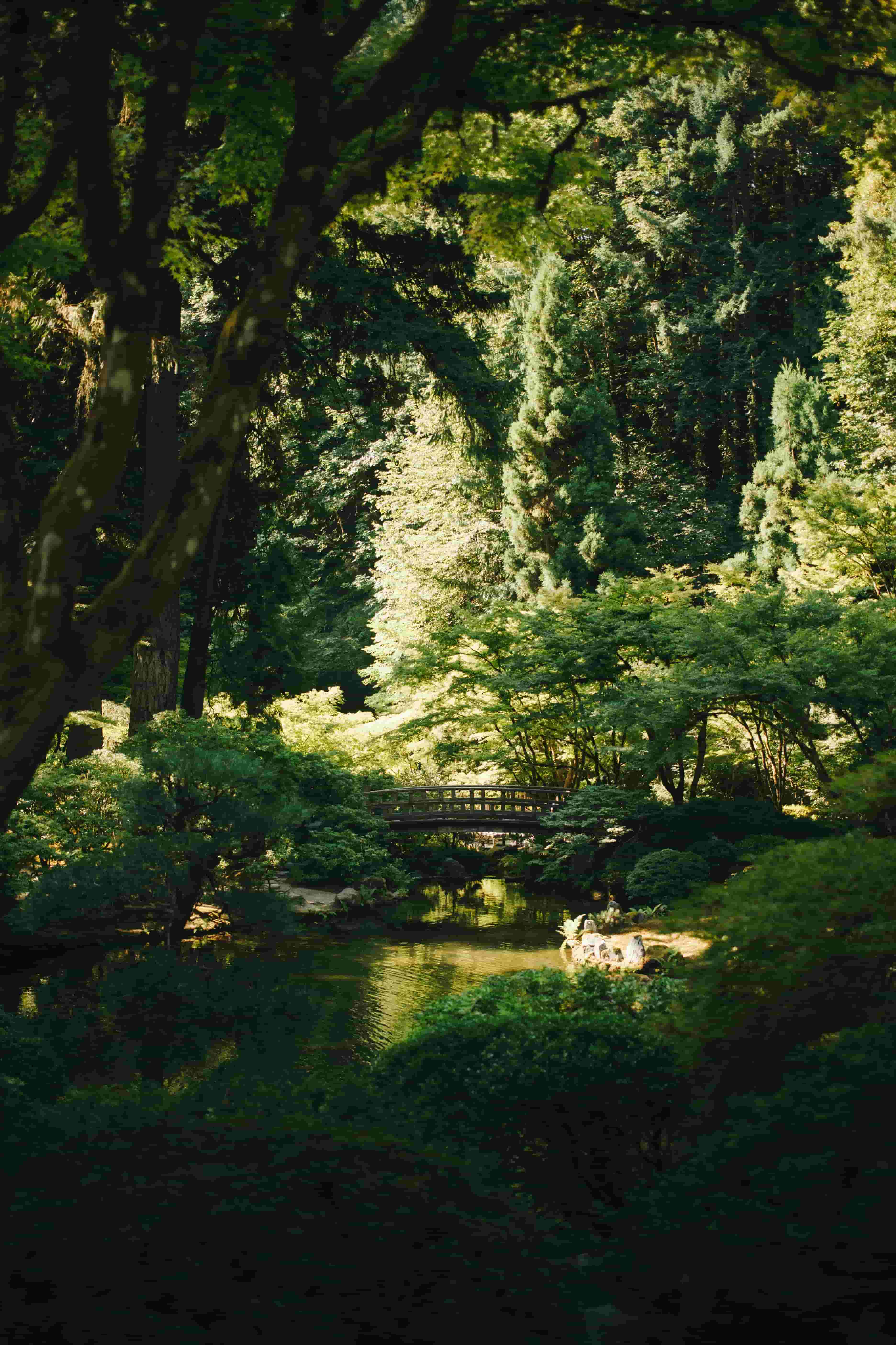 Kyoto Gardens